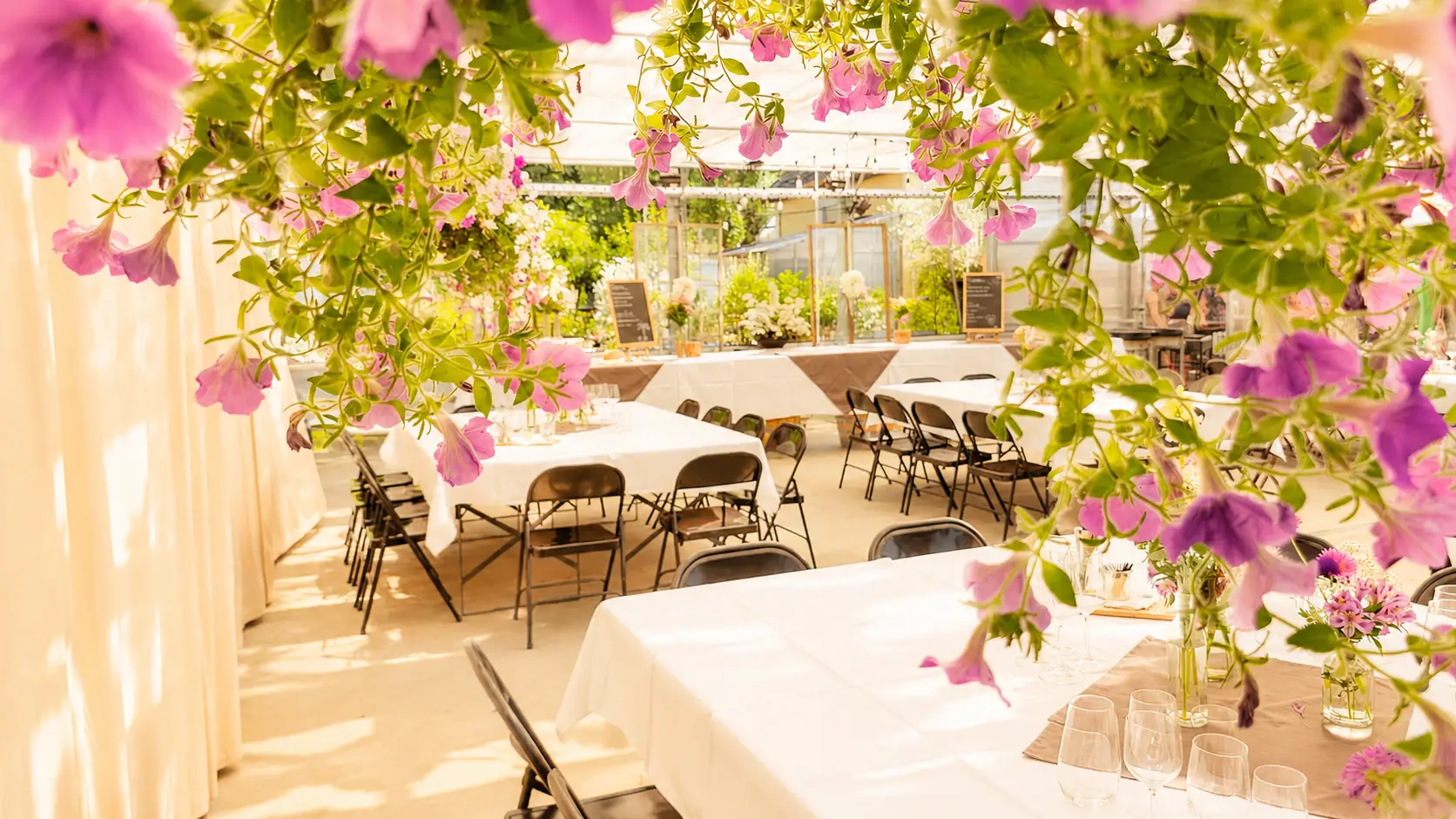 Stehtische im Gewächshaus mit Bougainvillea im Triibhuus, Weidweg 1 in Rothrist